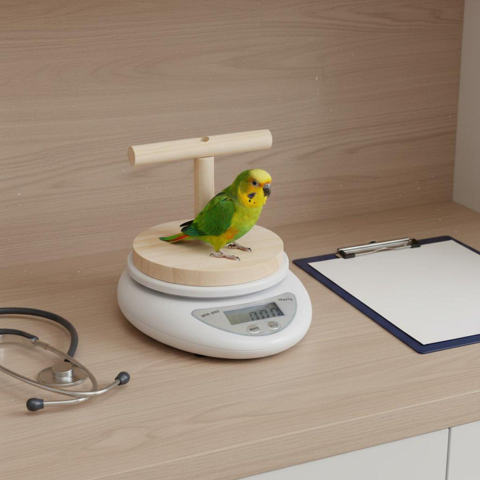 Balance numérique portable de  - Portion Scale Digital avis et prix